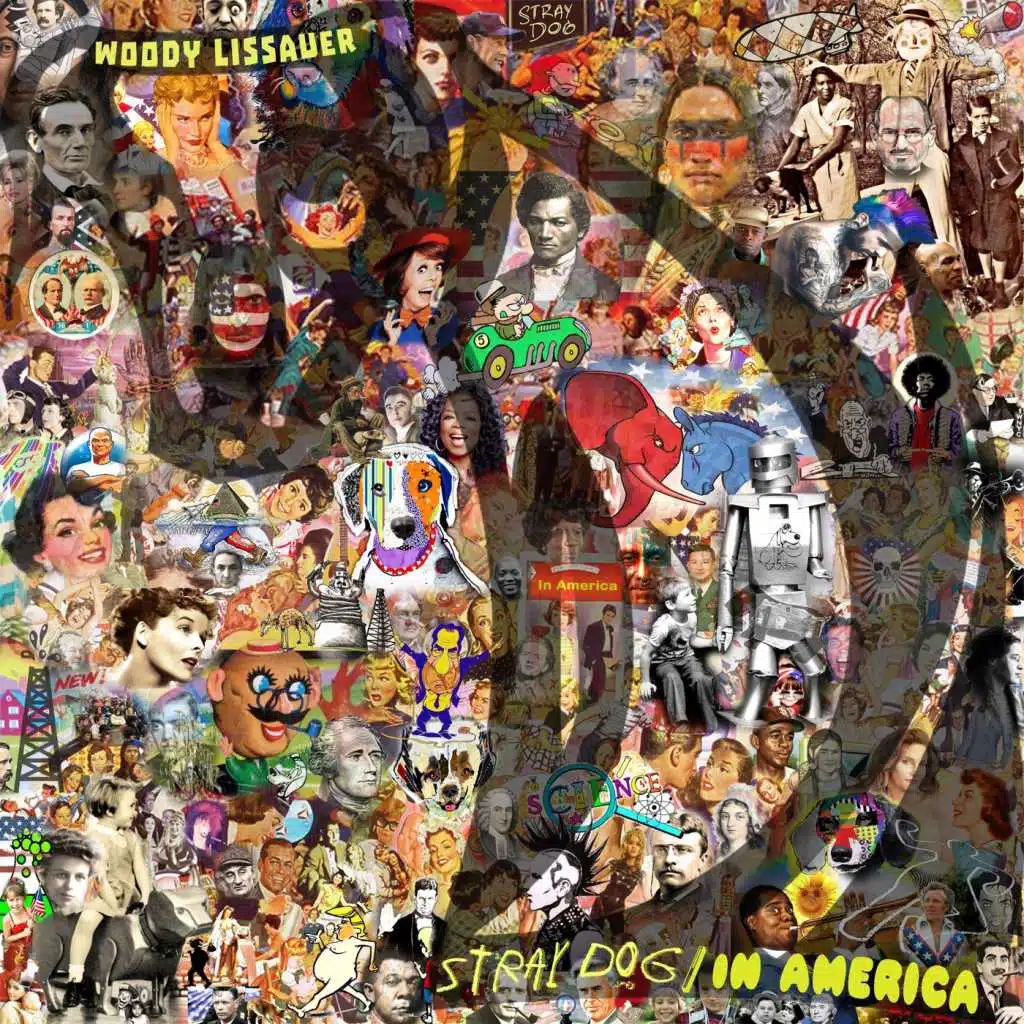 Stray Dog In America