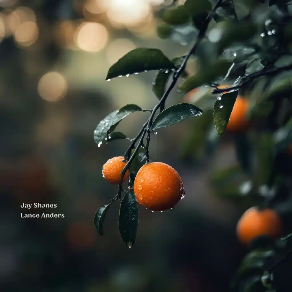 Tangerine Afternoon