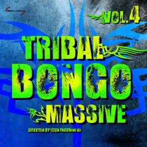 Tribal Bongo Massive, Vol. 4
