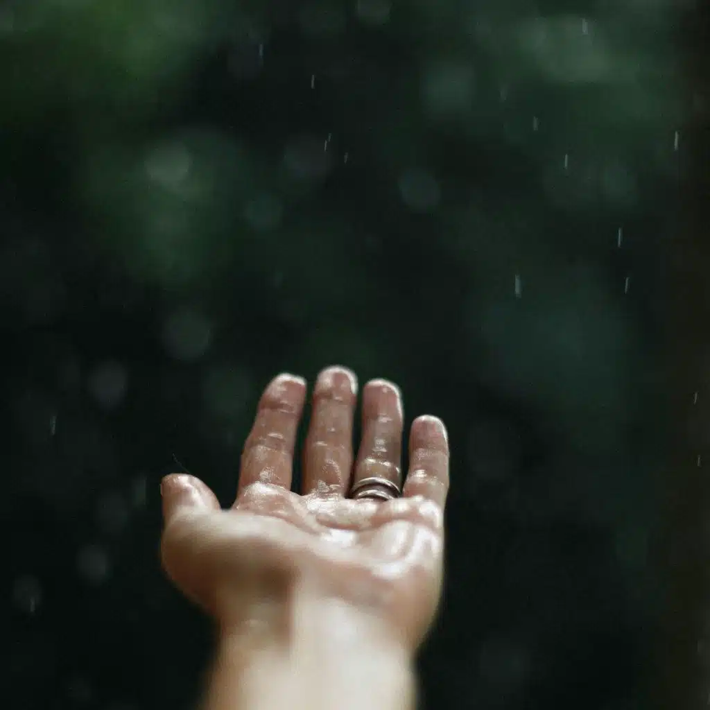 Gentle Rain Drizzle - 10 Hours Sleep Sound