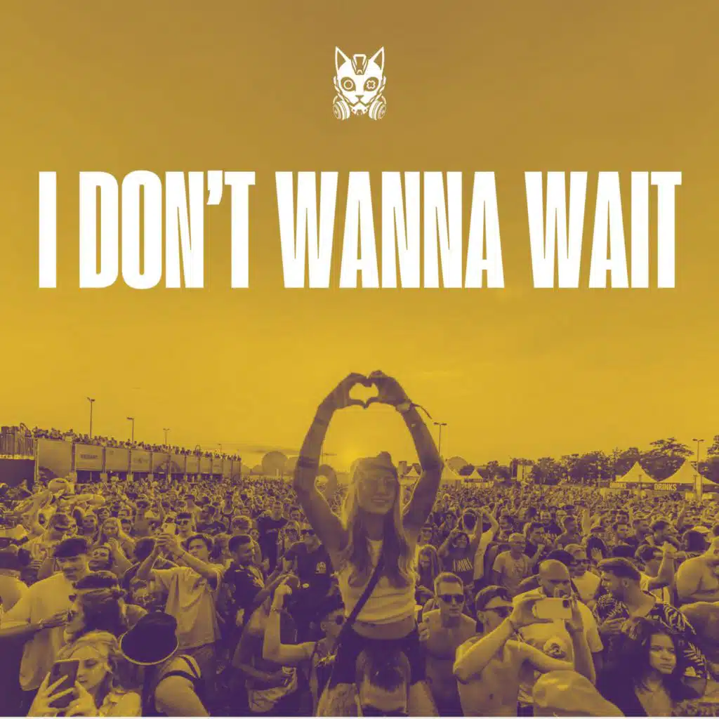 I Don't Wanna Wait