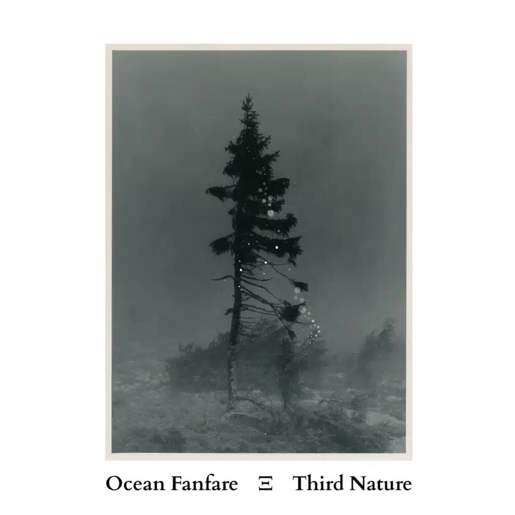 Ocean Fanfare