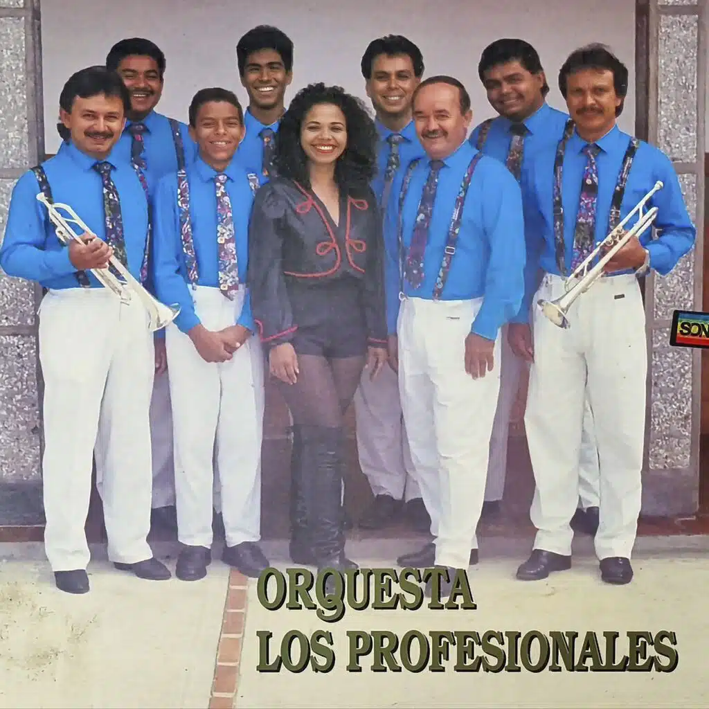 Los Profesionales