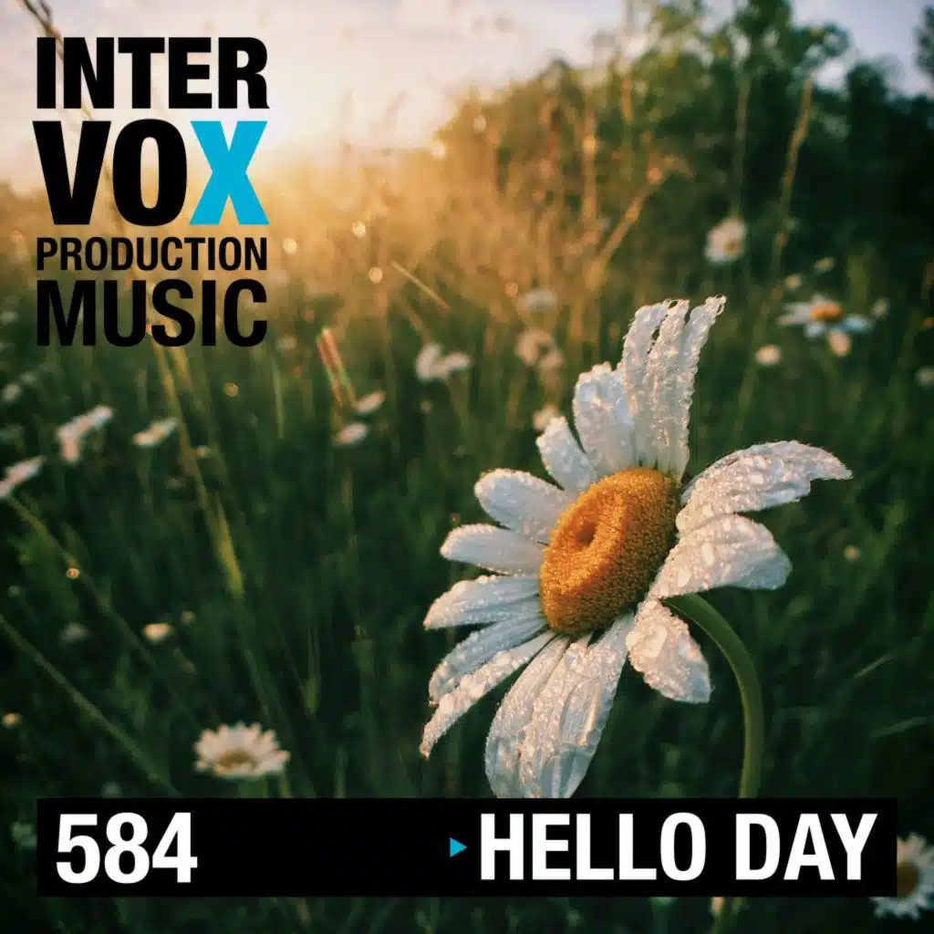 Daniel Elias Brenner & Intervox Music