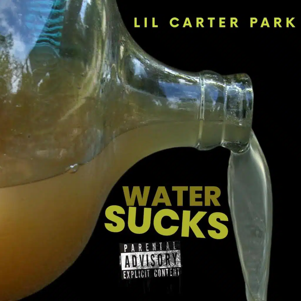 Lil Carter Park