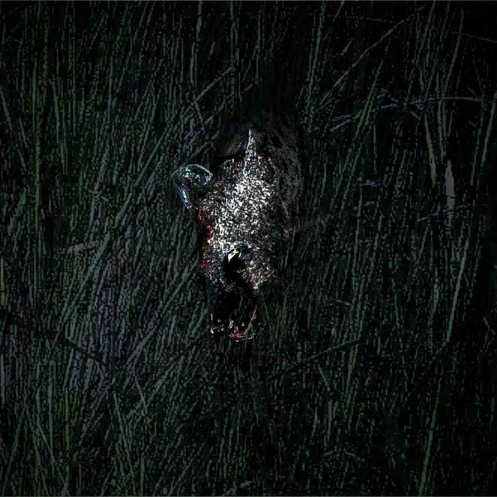 Hyenas