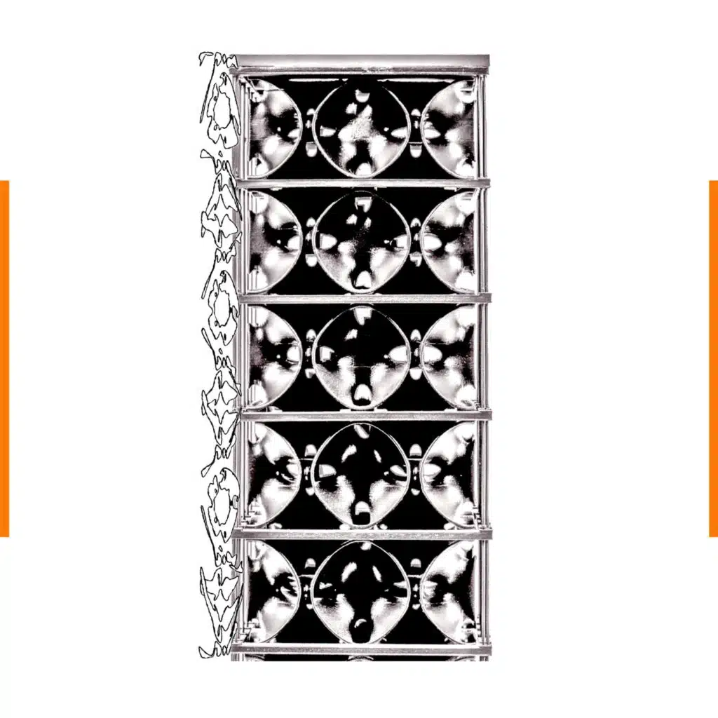SCA2