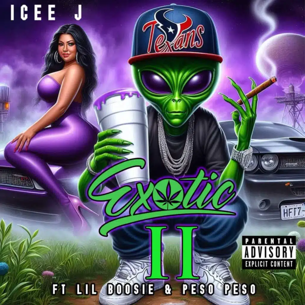 Exotic 2 (feat. Boosie Badasz)