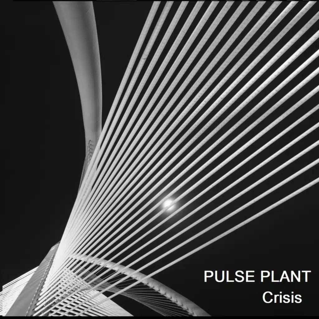 Pulse Plant