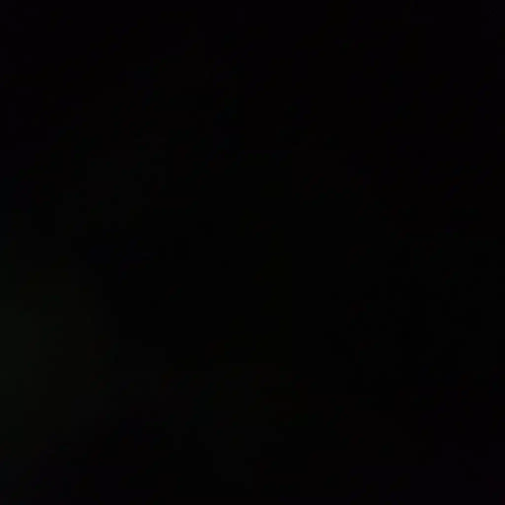 زاش