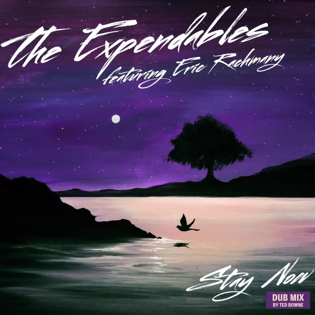 Stay Now (Dub Mix) [feat. Eric Rachmany]