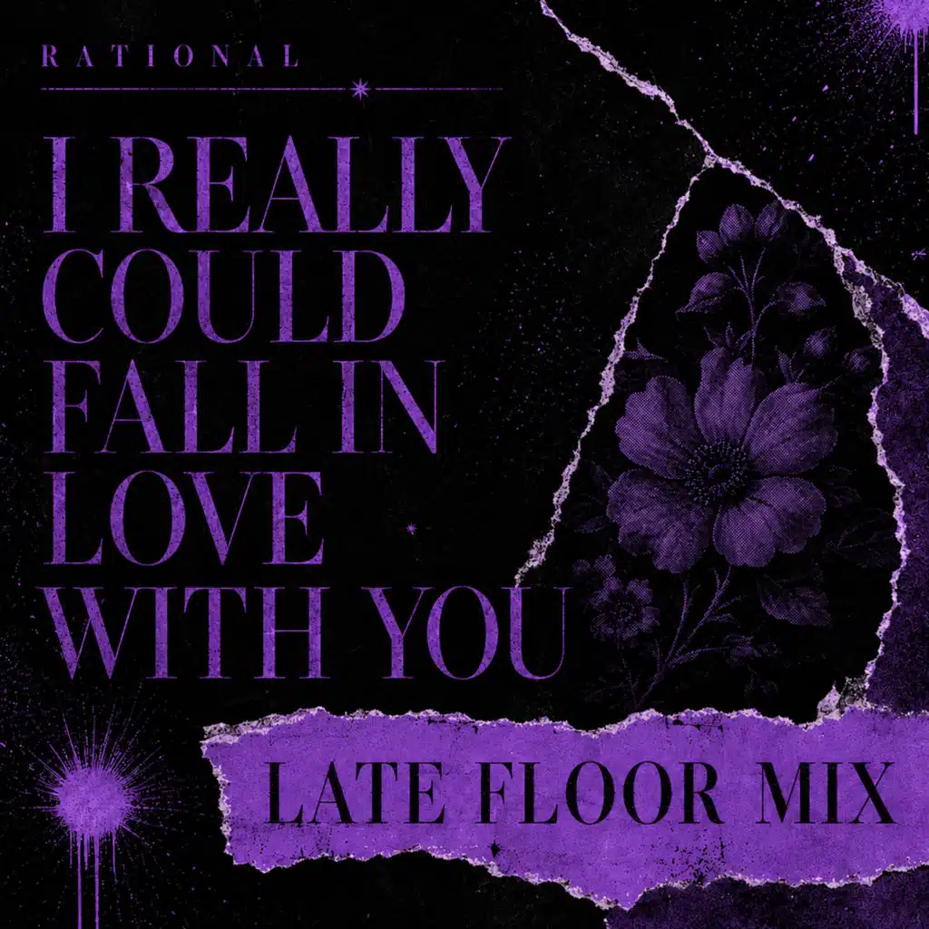 I REALLY COULD FALL IN LOVE WITH YOU (LATE FLOOR MIX)