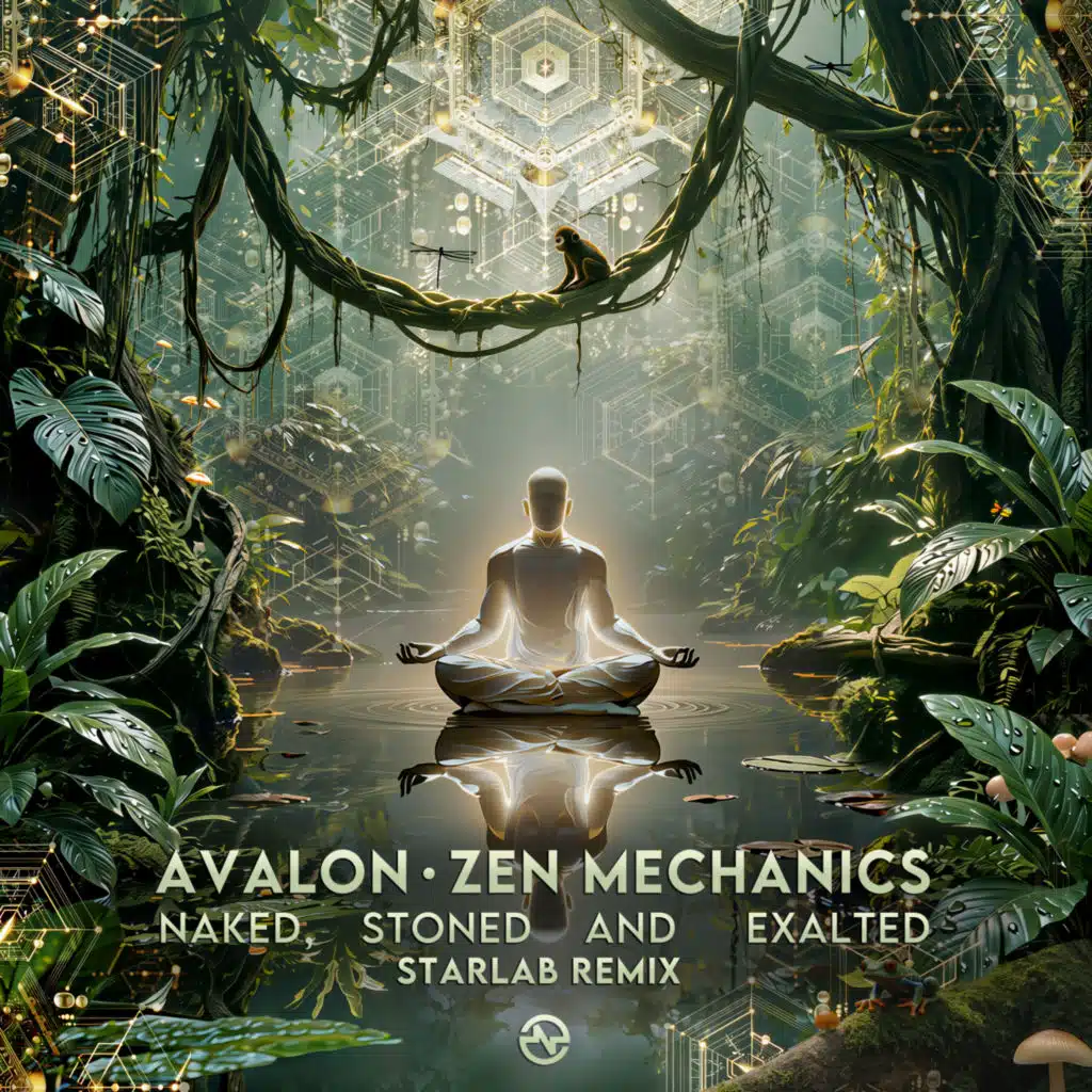 Naked, Stoned and Exalted (Starlab (IN) Remix)