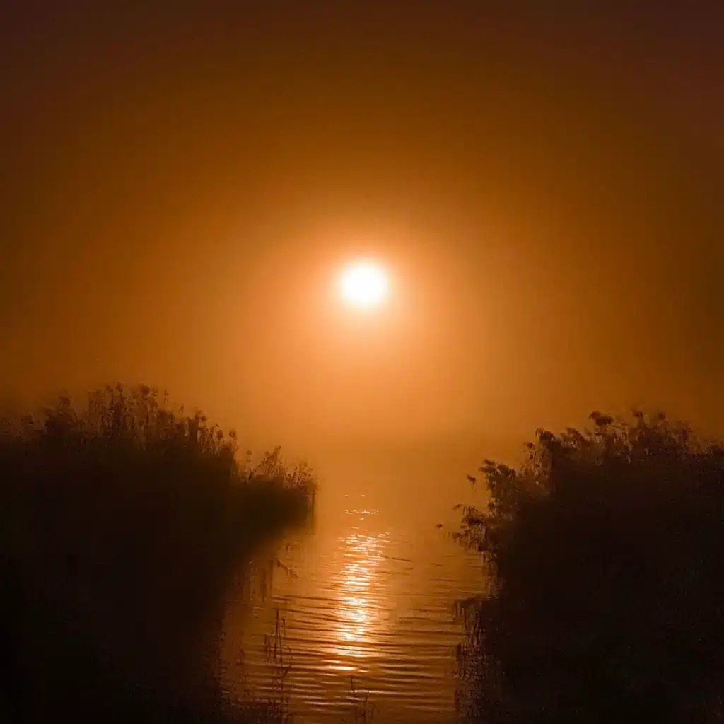 sleeping tides