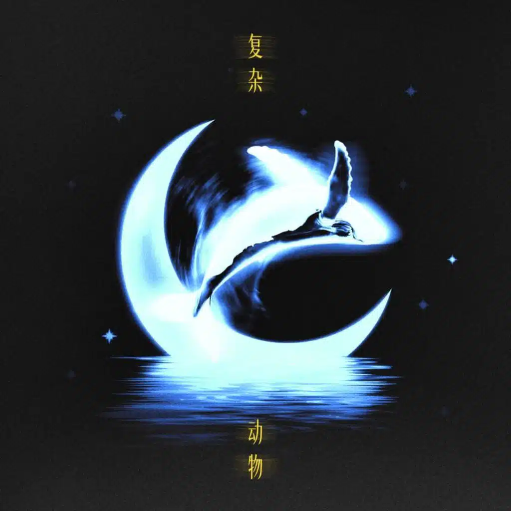 复杂动物
