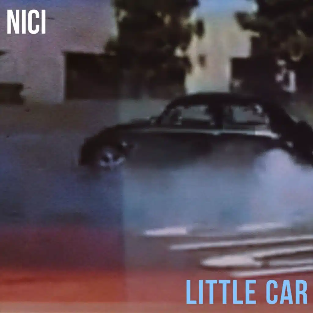Nici