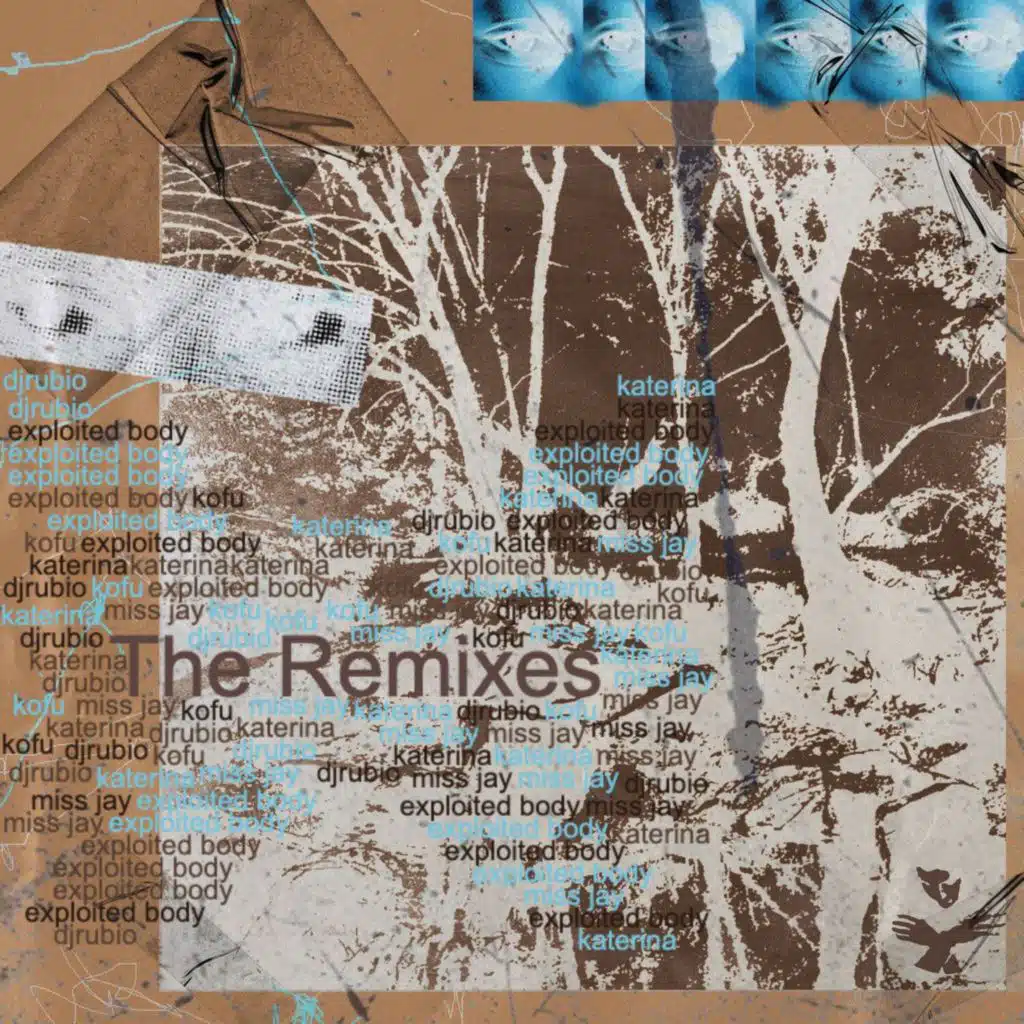 In the Absence of Apathy (The Remixes)