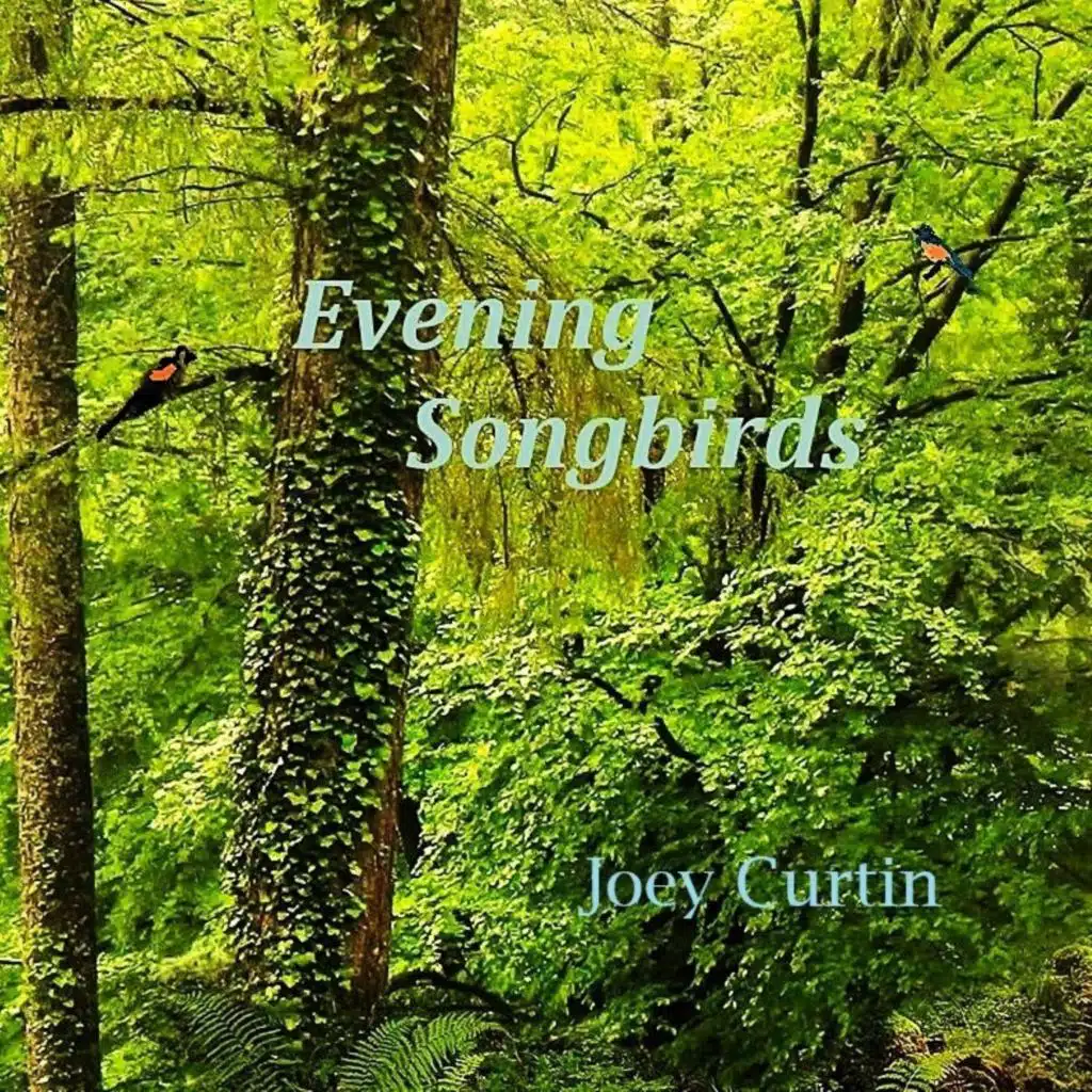Joey Curtin
