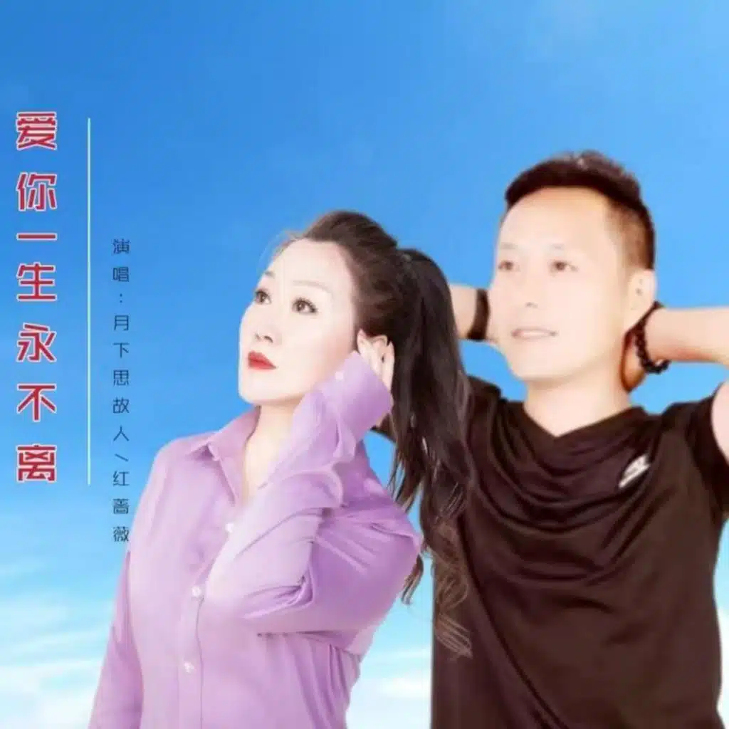 月下思故人 & 红蔷薇