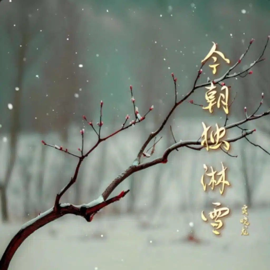今朝独淋雪