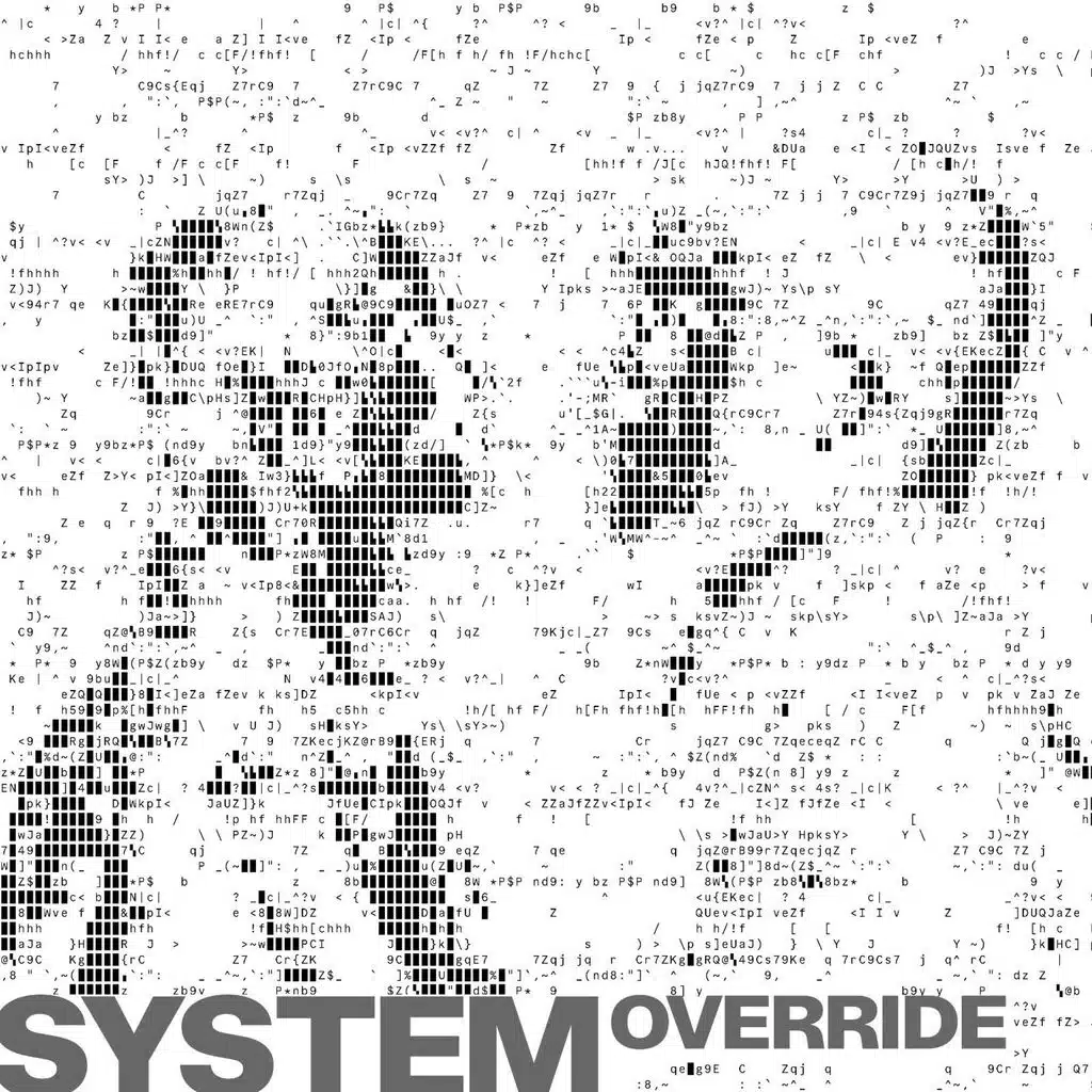 SYSTEM OVERRIDE