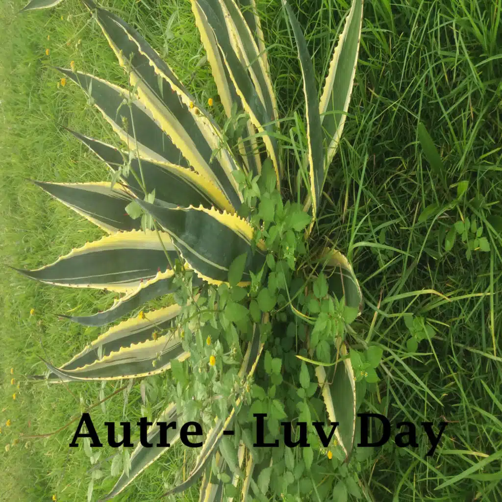 Autre