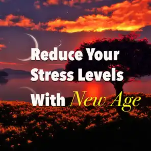 Reduce Your Stress Levels With New Age