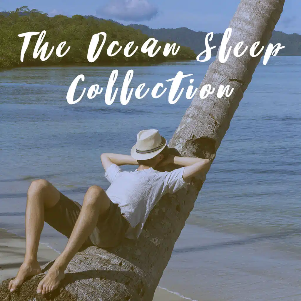 Rain Sound : Car Window