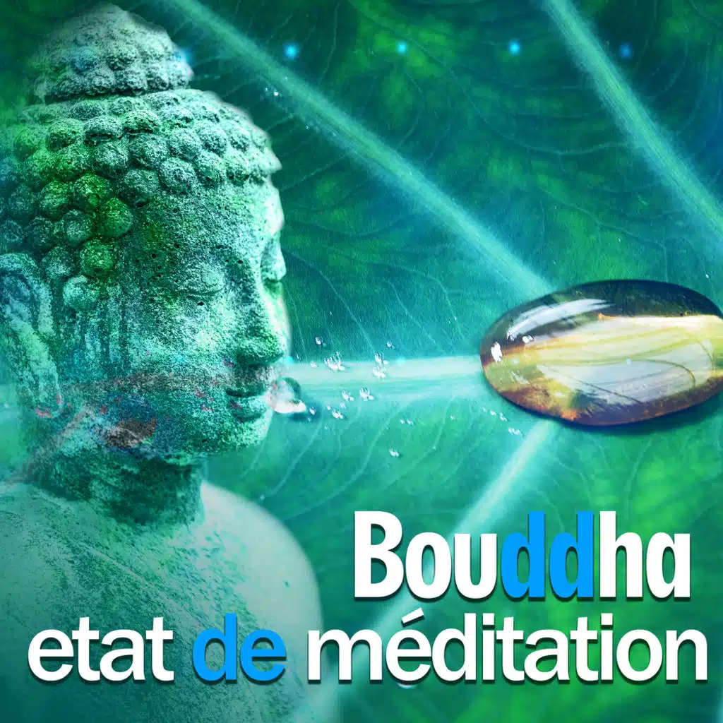 Bouddha etat de méditation - Musique de détente et relaxation, Vagues de la mer, Tranquillité, Exercices de respiration, Antistress musique