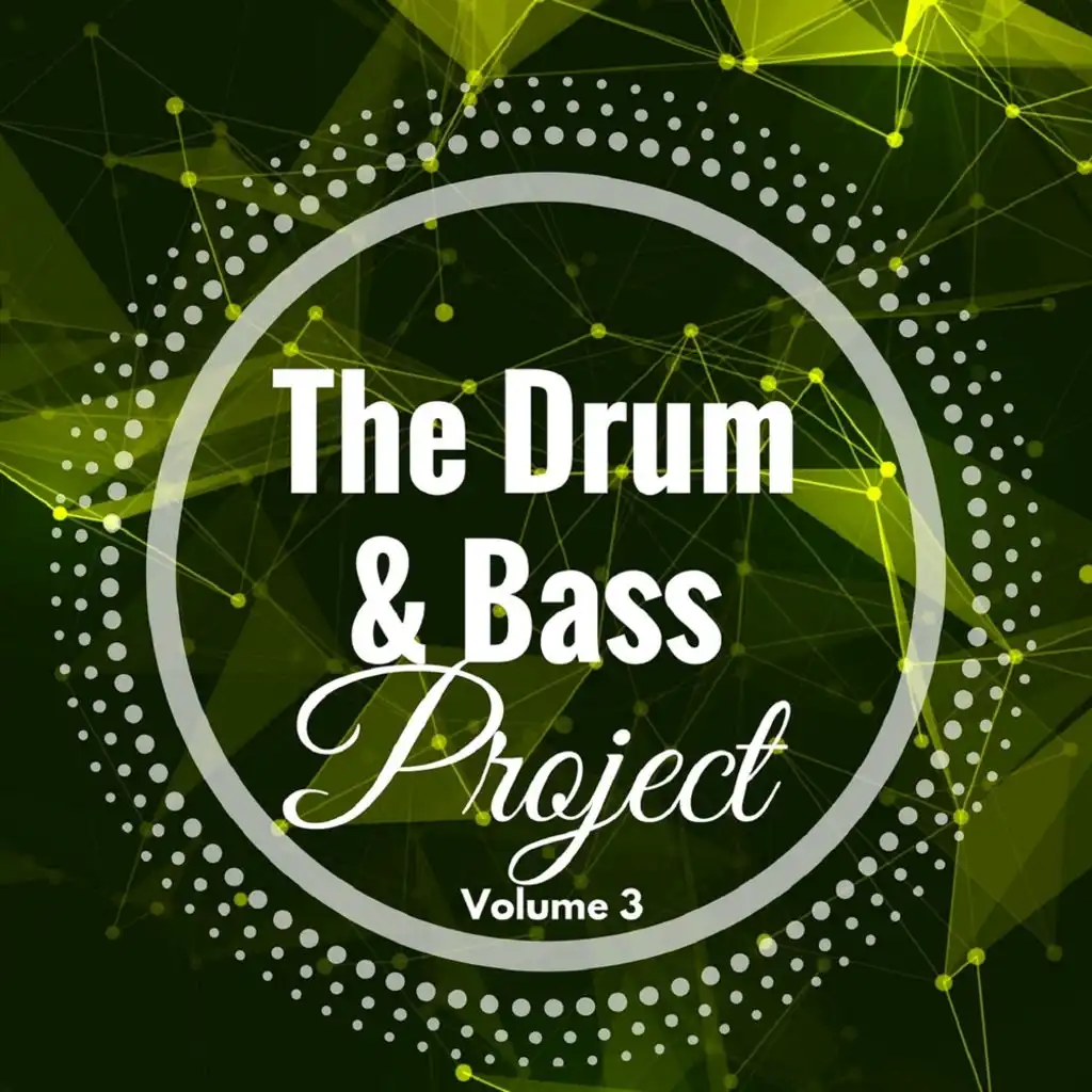 The Drum & Bass Project: Volume 3