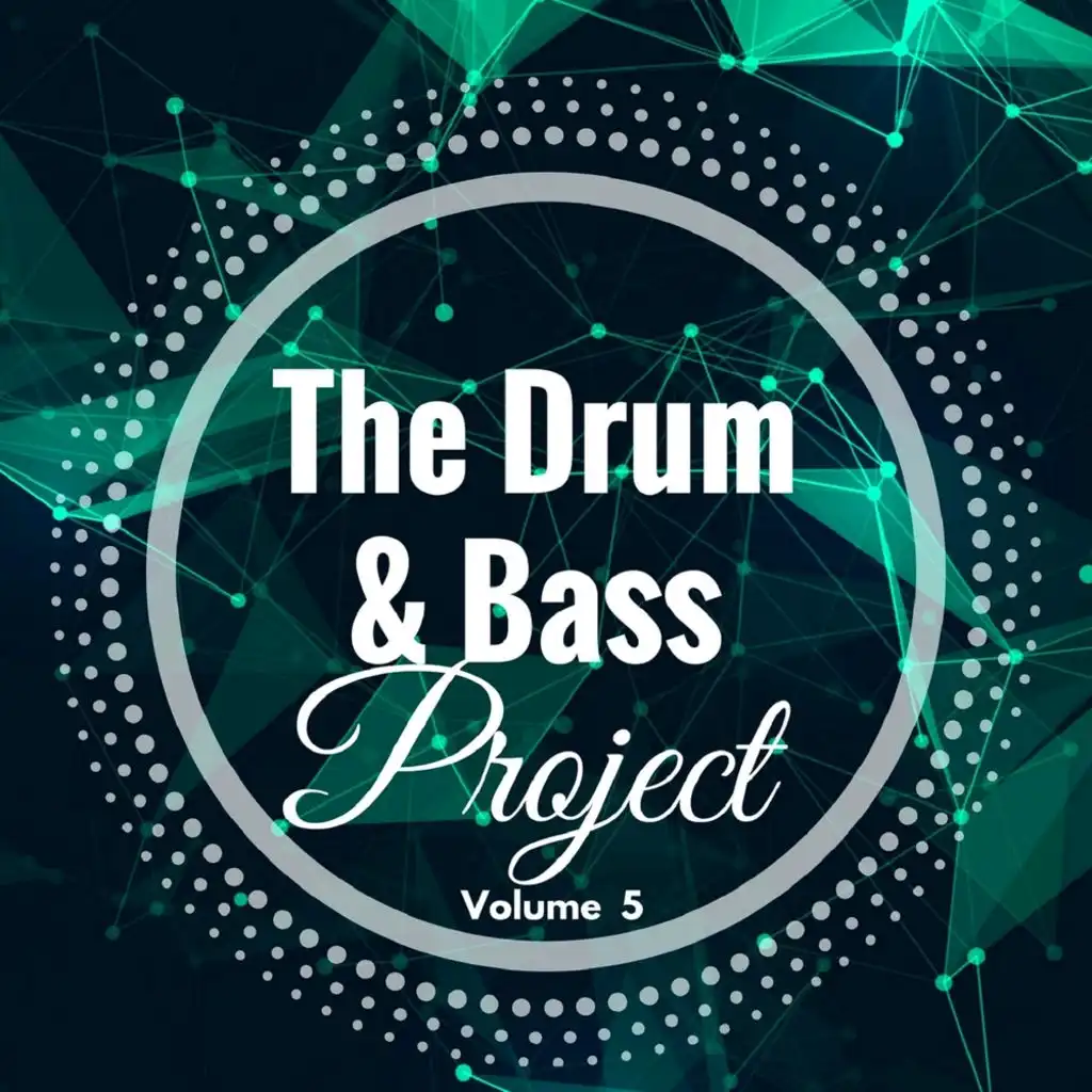The Drum & Bass Project: Volume 5
