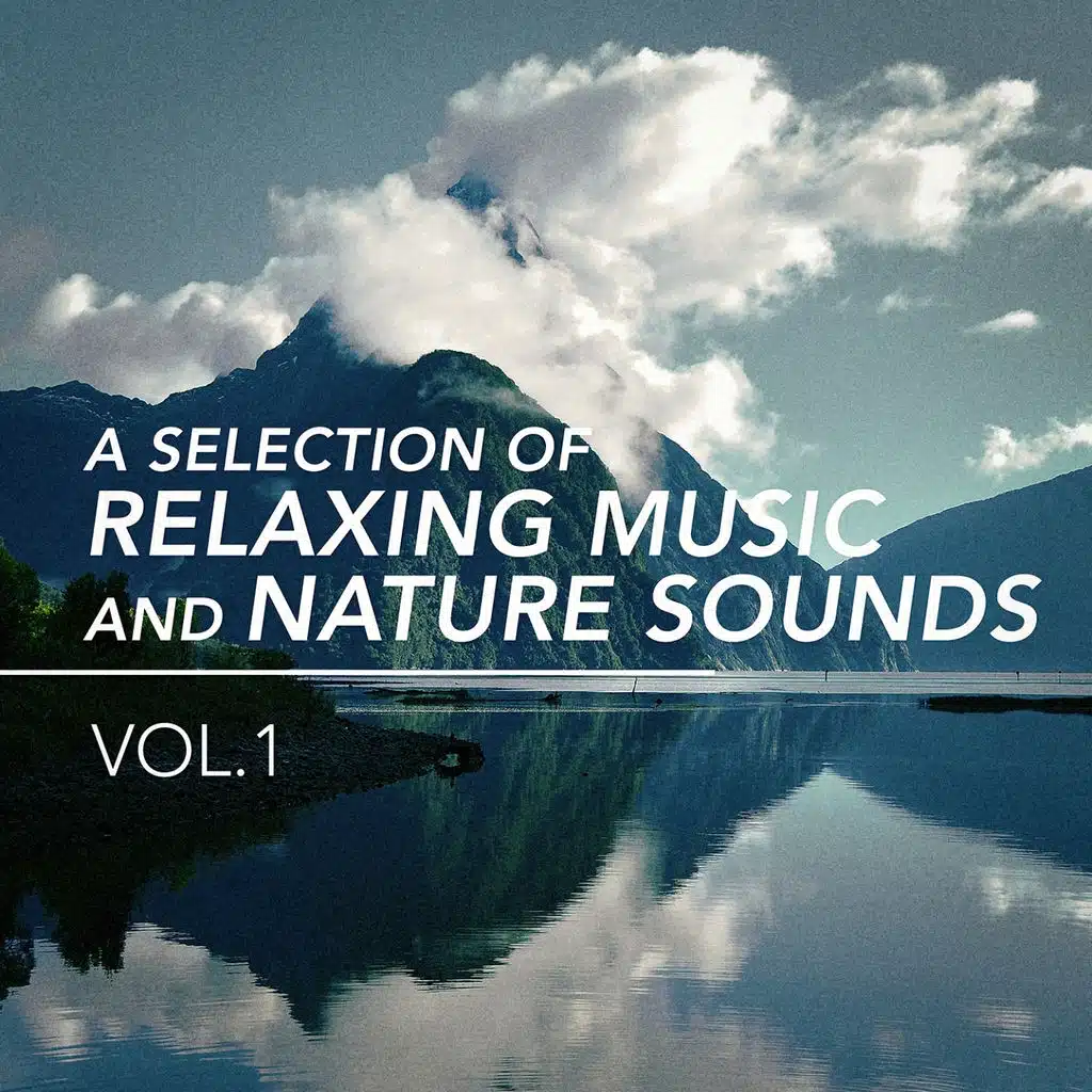 A Selection of Relaxing Music and Nature Sounds, Vol. 1