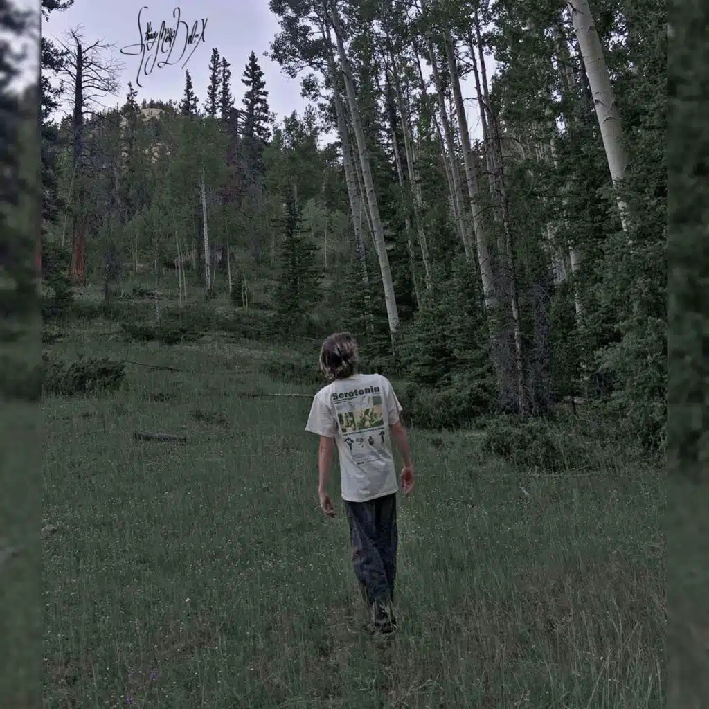 SkinnyMikadelox
