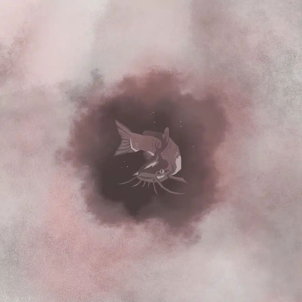 5 | Catfish
