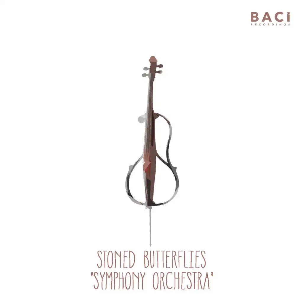 Symphony Orchestra