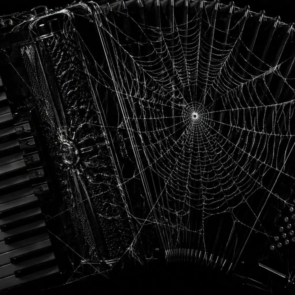 Spider’s Web (accordion I-II)