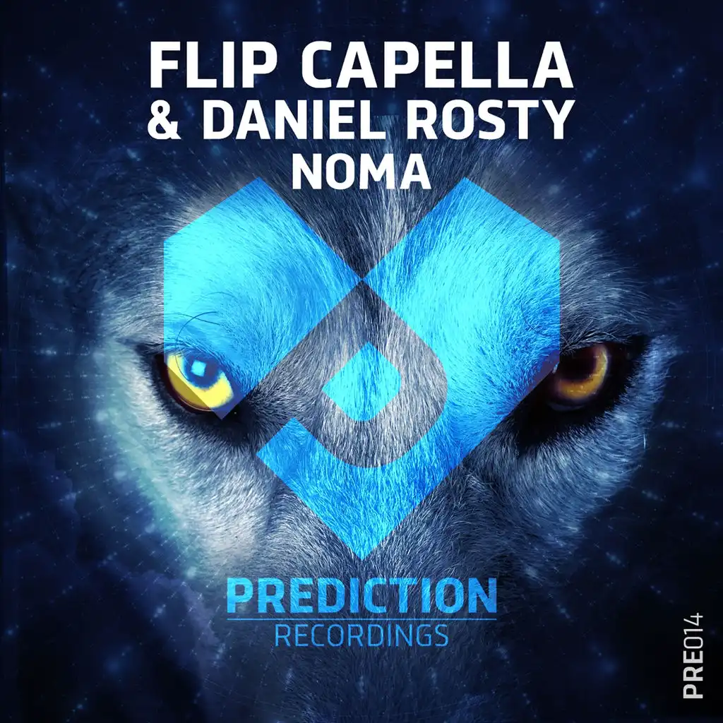 Noma (Flip Capella Remix Edit)