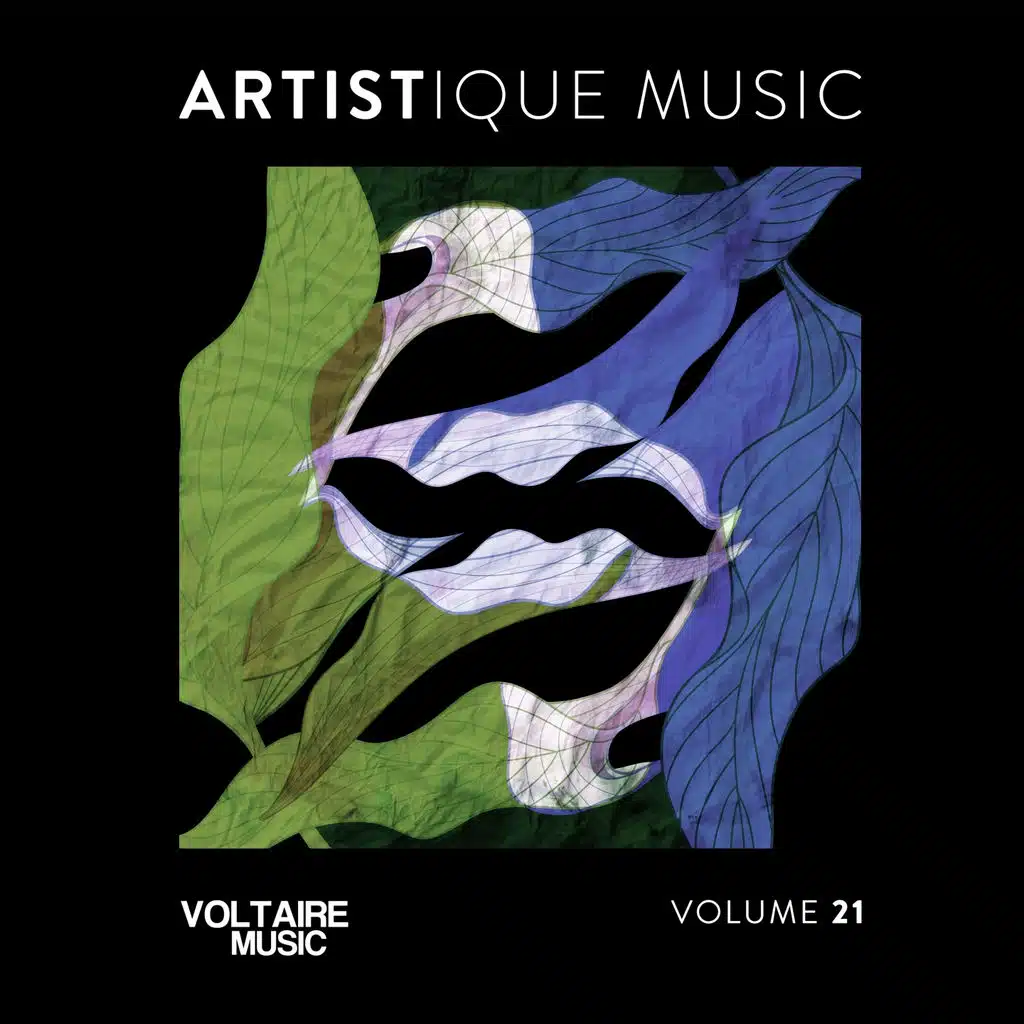 Artistique Music, Vol. 21