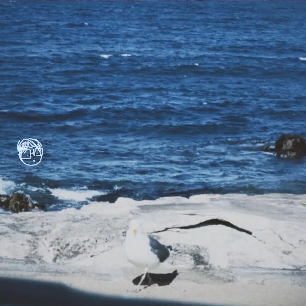 Waves