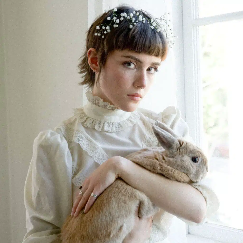 Year of the Rabbit