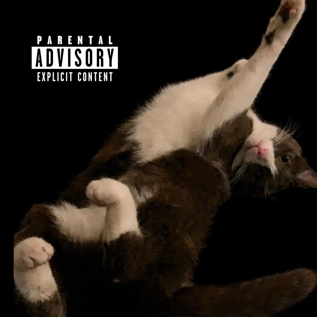 NSF