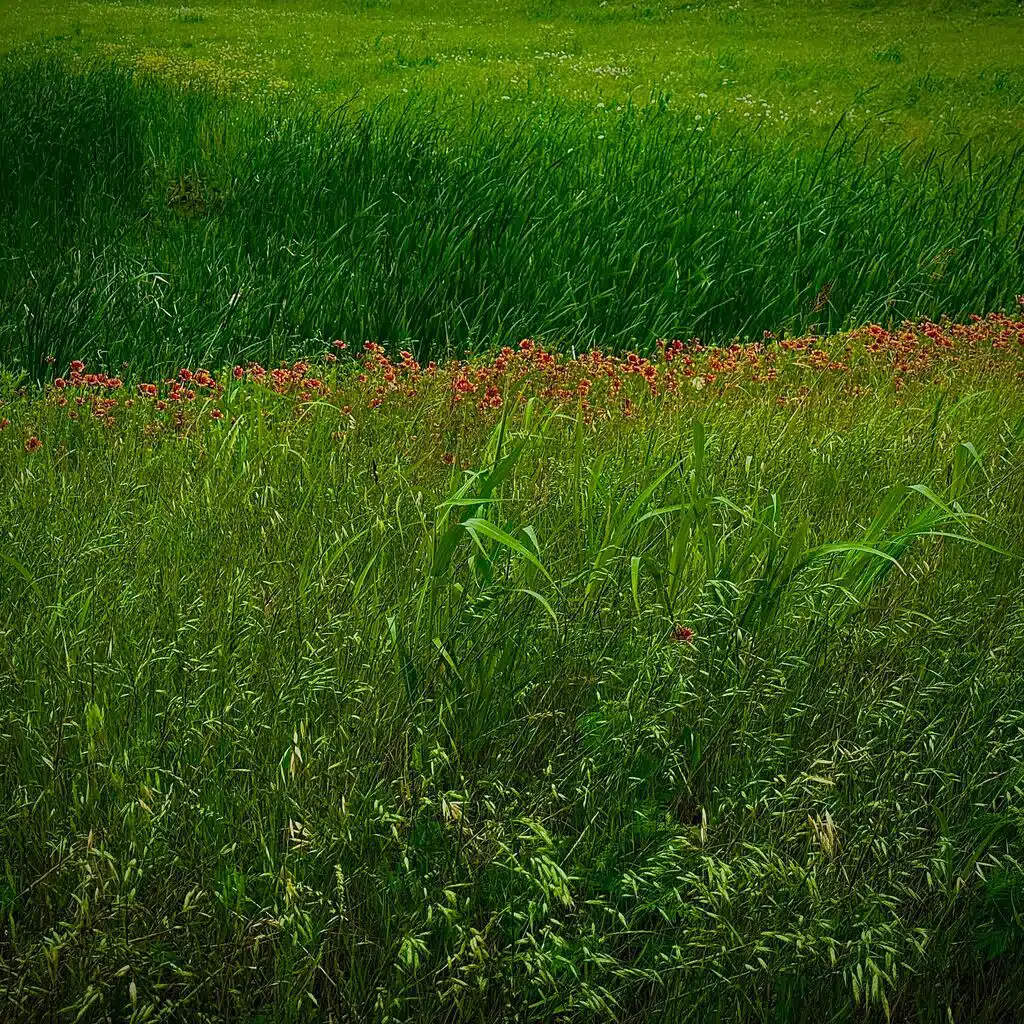 CHROMA