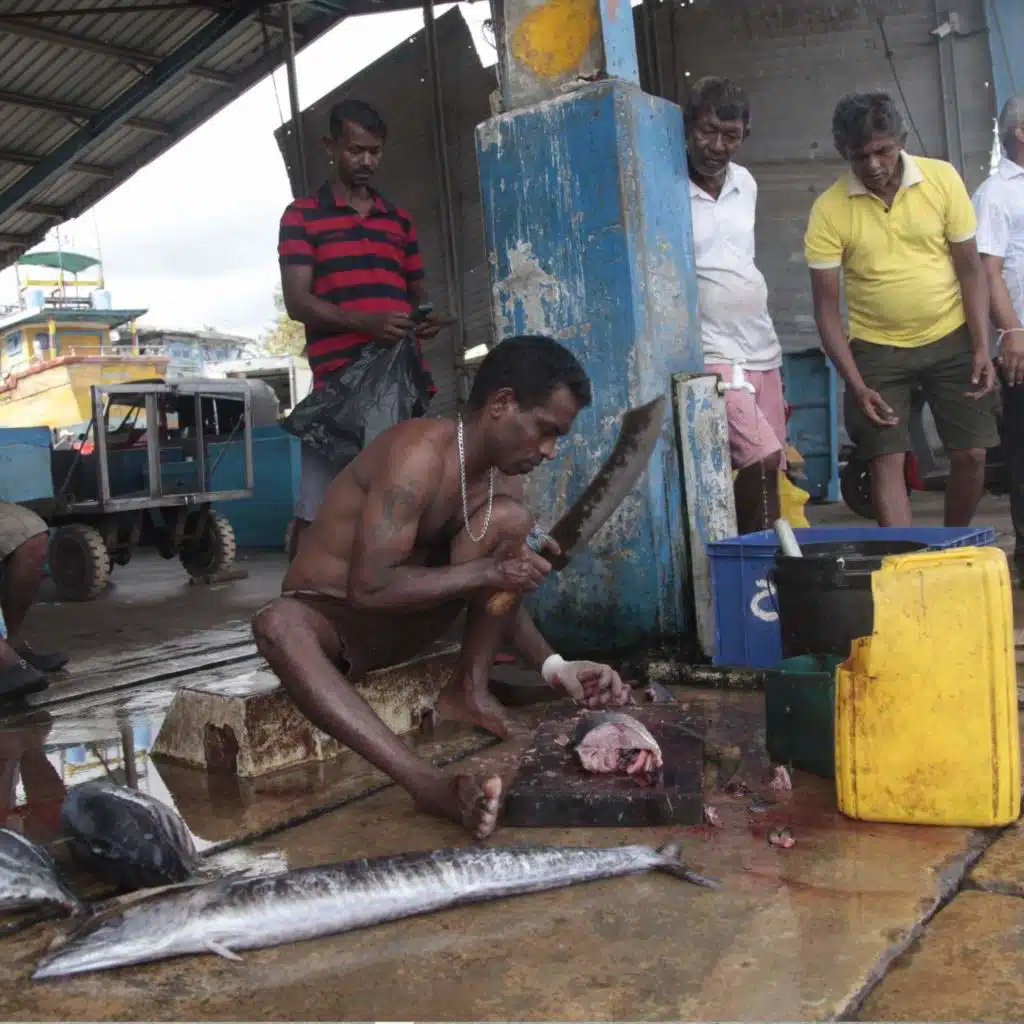 War Worsens Economic Pain in Sri Lanka