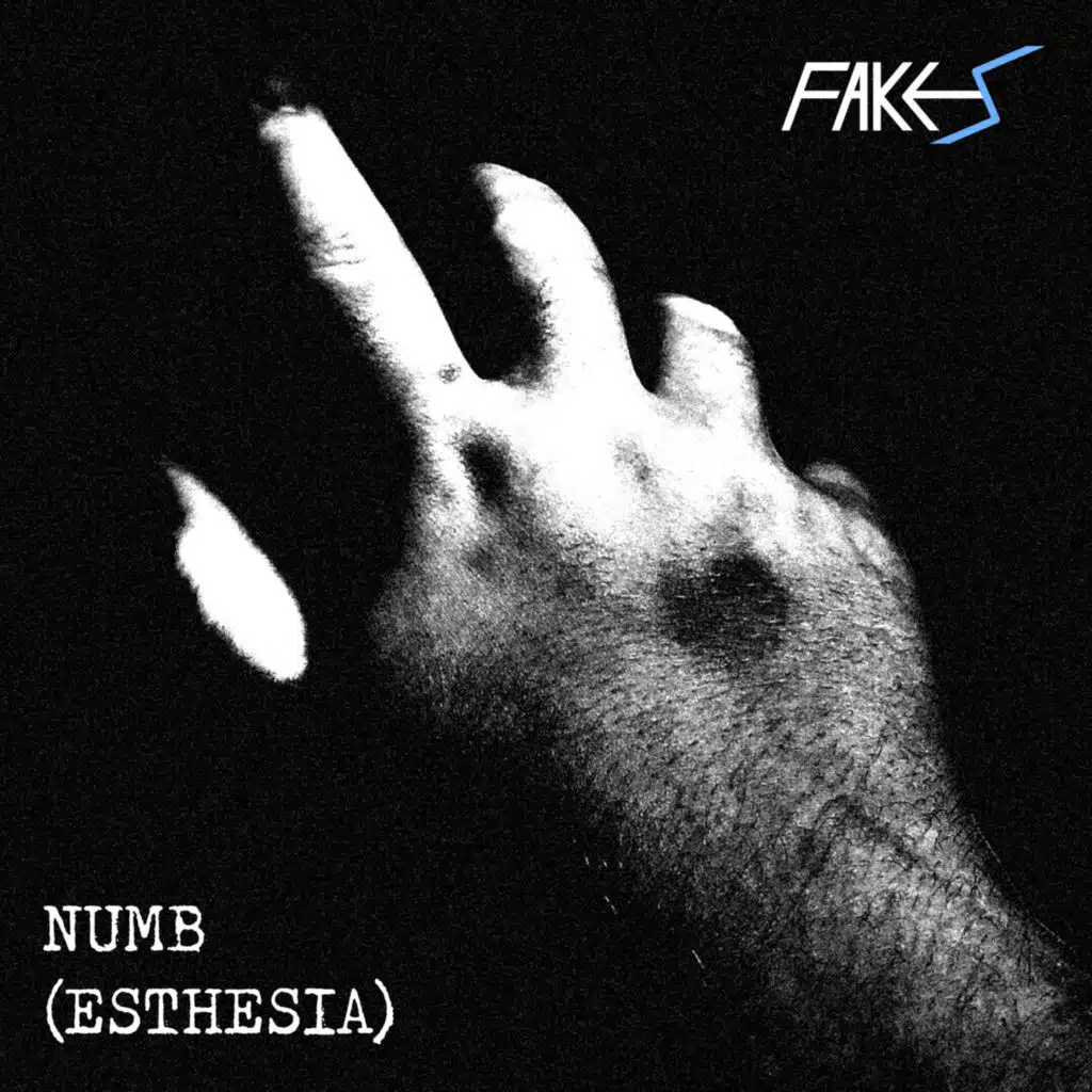 FAKES