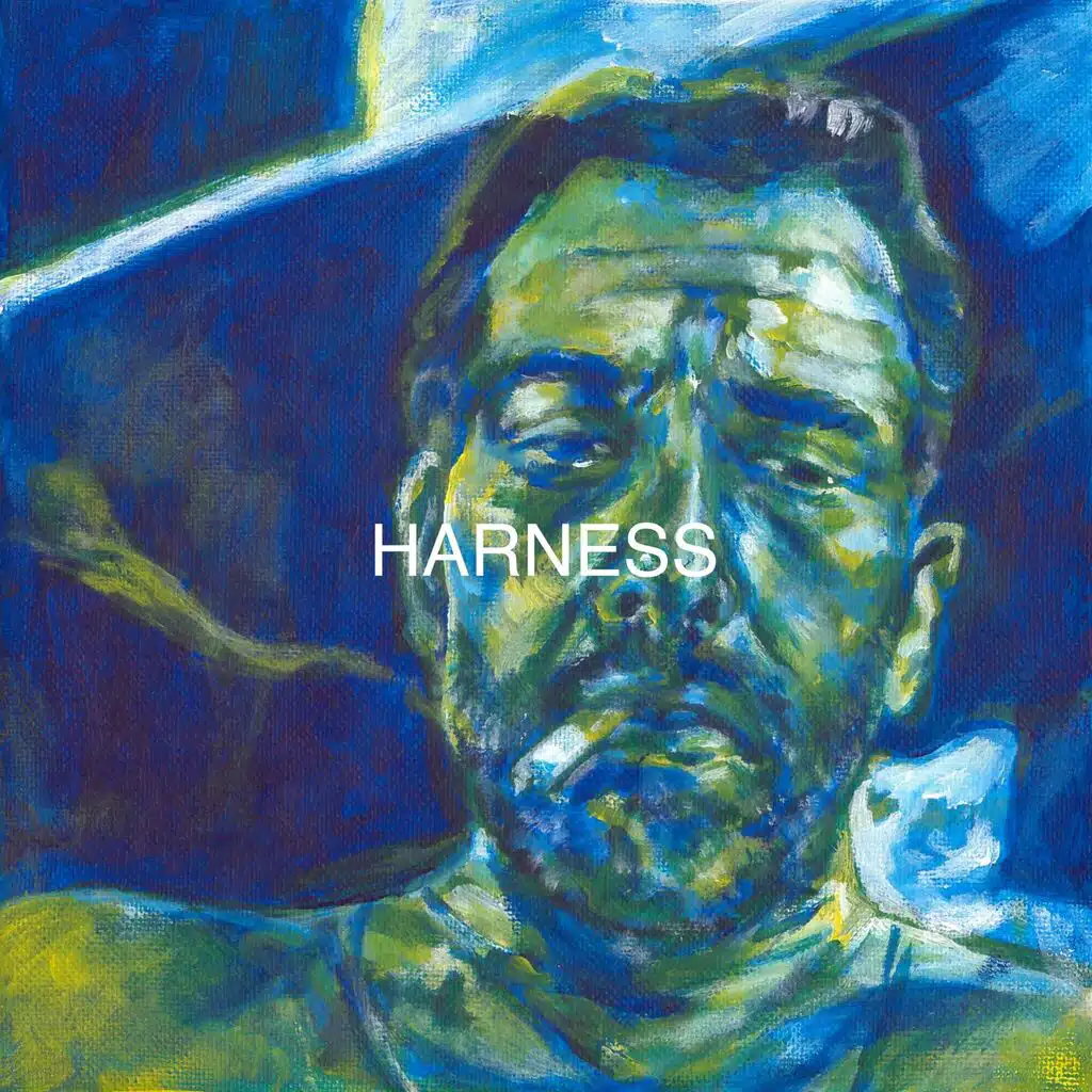 Harness
