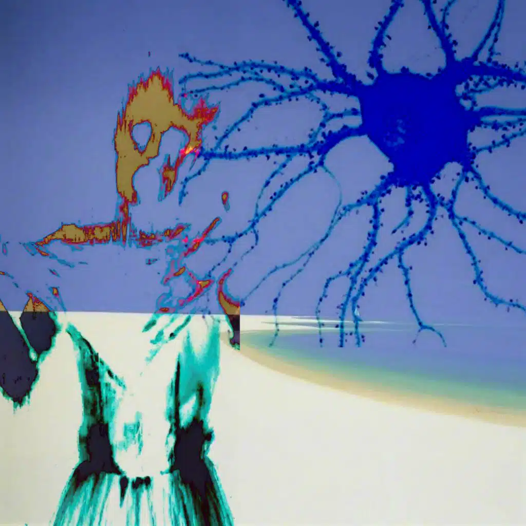 Jeybriski