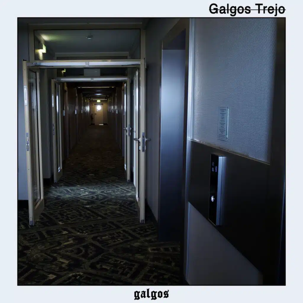 Galgos