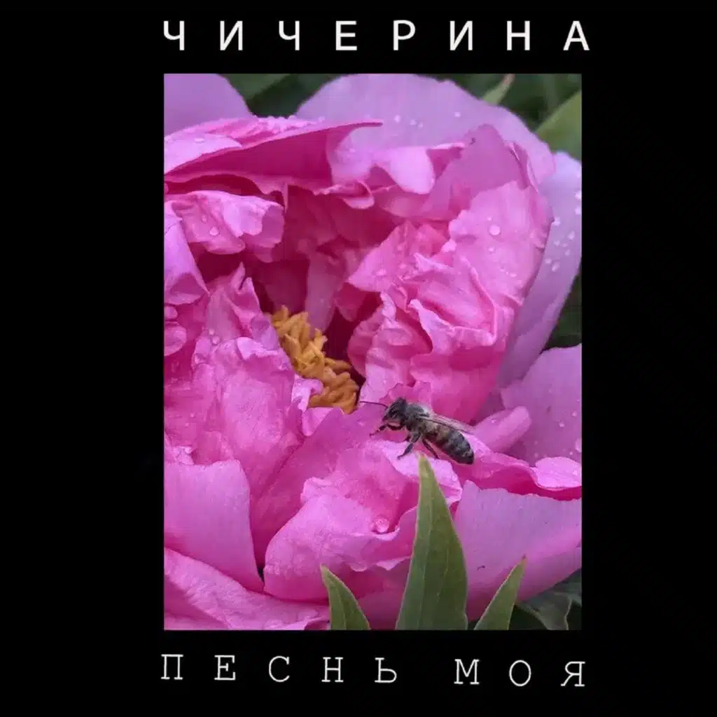 Чичерина