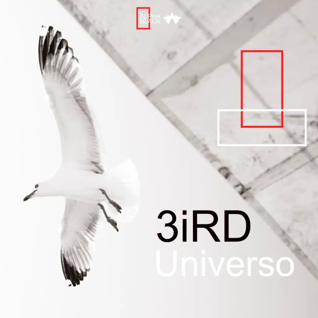 3ird