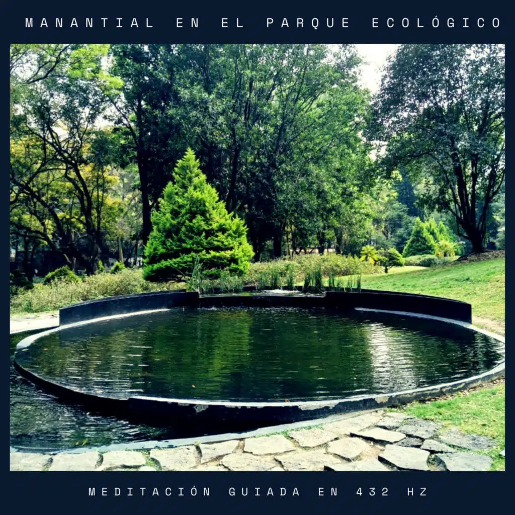 Manantial en el Parque Ecológico (feat. Tato Schab)